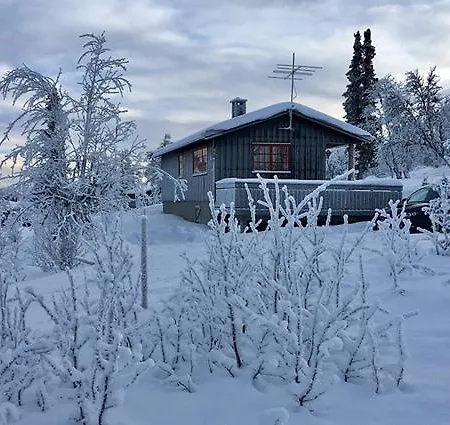 Koselig, Lita Pa Aurdalsasen Ved Danebu *