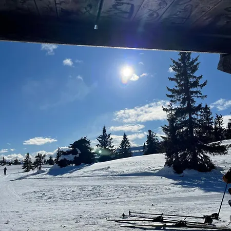 Koselig, Lita Pa Aurdalsasen Ved Danebu * Aurdal