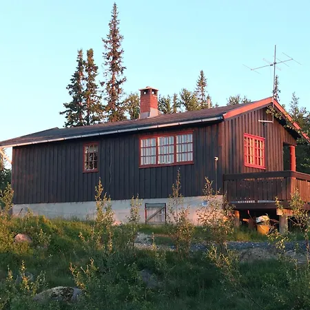 Koselig, Lita Pa Aurdalsasen Ved Danebu Holiday home Aurdal
