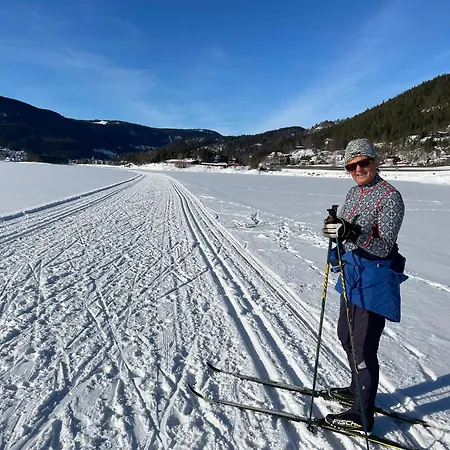 Koselig, Lita Pa Aurdalsasen Ved Danebu Casa vacanze