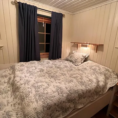 Koselig, Lita Pa Aurdalsasen Ved Danebu